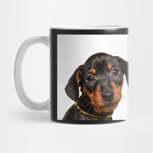 Portrait of black puppy Mug